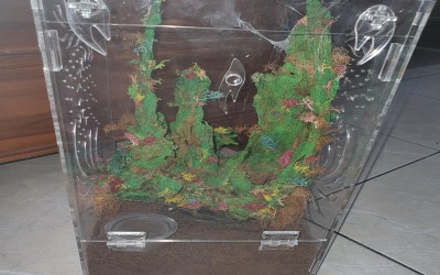 KANDANG AKRILIK DEKORASI ARBOREAL TARANTULA DEWASA 20 X 20 X 40 CM SECOND
